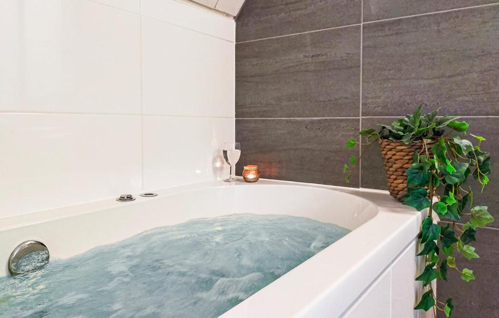 Vijverzicht 218 Met Whirlpool Gramsbergen エクステリア 写真
